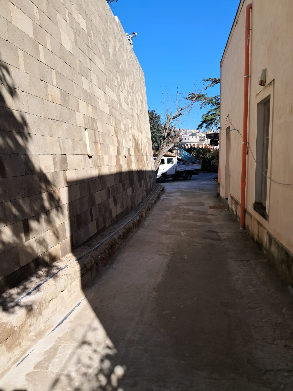 9ff50f61-ef4c-4533-a58c-8413802b68b5