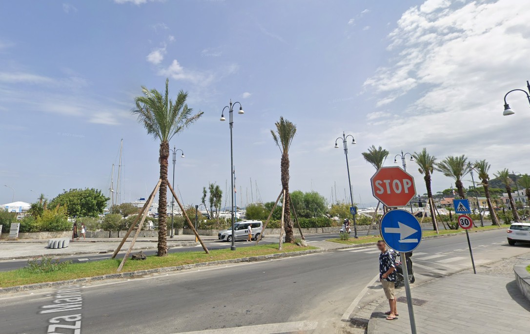 Immagine 2026-01-20 194851