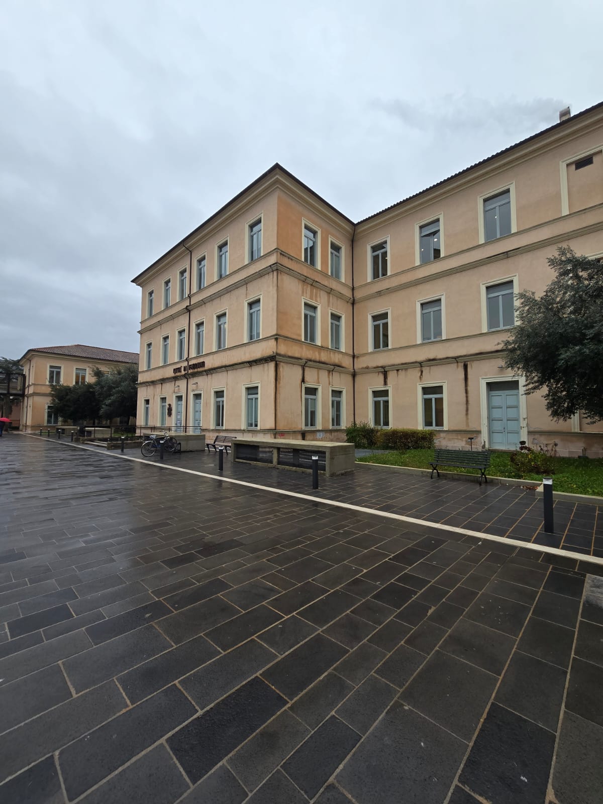 a0392487-fcd1-4703-b5e3-8a820f88928b