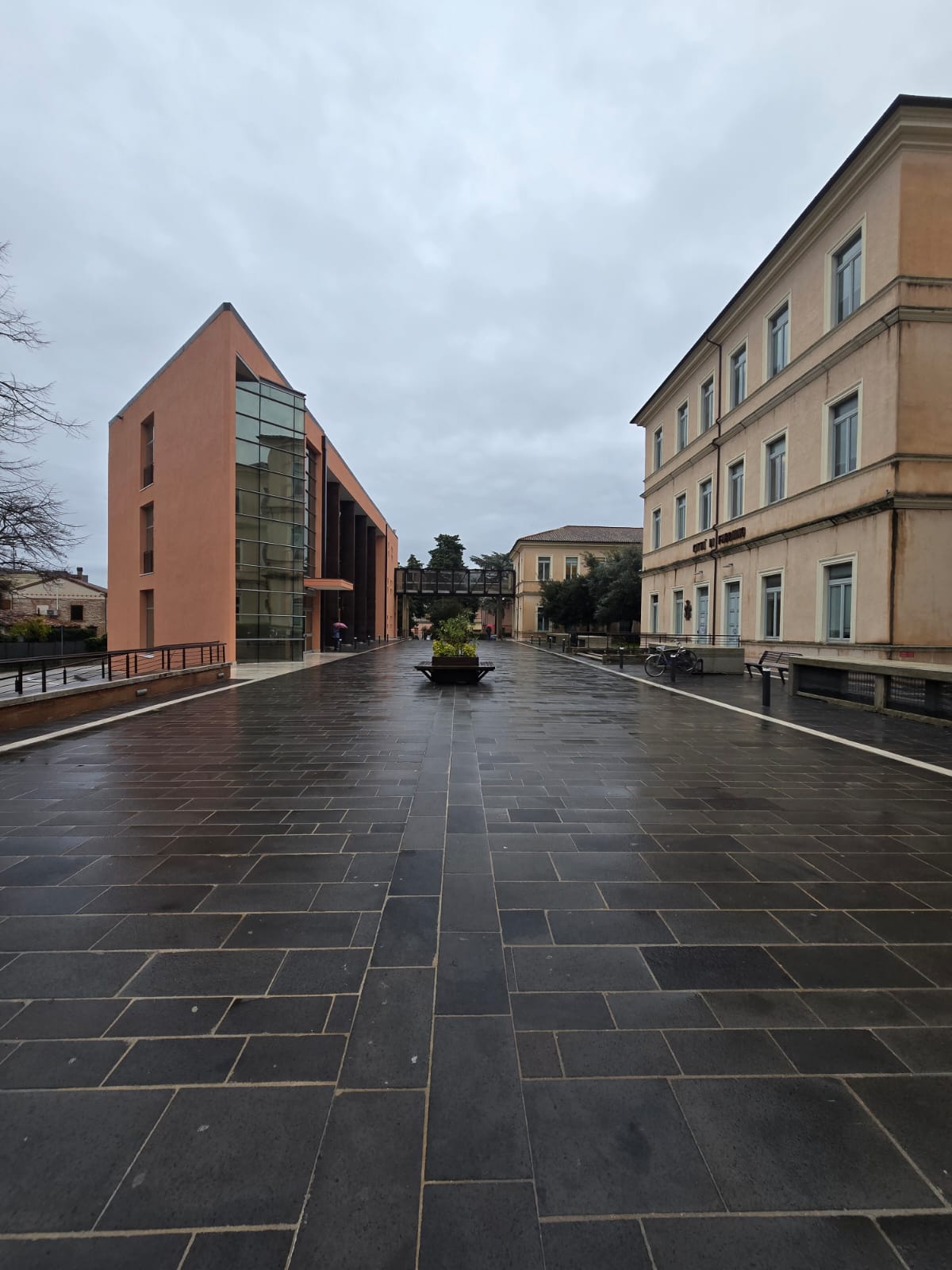 d937350b-0a81-42ac-b81b-7de5b0537c7d